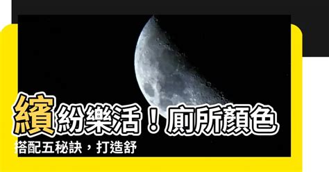 廁所顏色|廁所怎麼設計？打造明亮舒適洗手間的完整攻略 